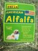 Cỏ Alfalfa - anh 1